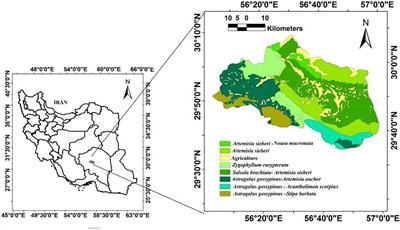 Linking Ecosystem Services to Social Well-Being: An Approach to Assess Land Degradation